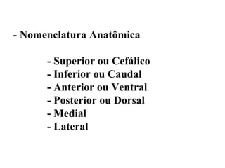 - Nomenclatura Anatômica

      - Superior ou Cefálico
      - Inferior ou Caudal
      - Anterior ou Ventral
      - Posterior ou Dorsal
      - Medial
      - Lateral
 