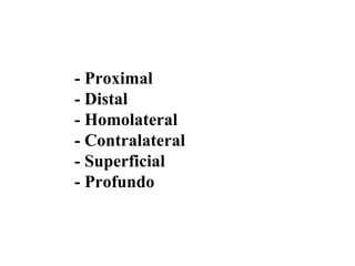 - Proximal
- Distal
- Homolateral
- Contralateral
- Superficial
- Profundo
 