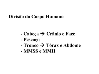 - Divisão do Corpo Humano


      - Cabeça  Crânio e Face
      - Pescoço
      - Tronco  Tórax e Abdome
      - MMSS e MMII
 