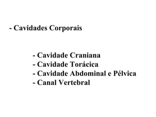 - Cavidades Corporais


      - Cavidade Craniana
      - Cavidade Torácica
      - Cavidade Abdominal e Pélvica
      - Canal Vertebral
 