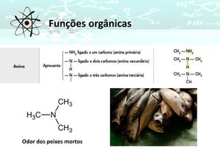 Funções orgânicas
Odor dos peixes mortos
 