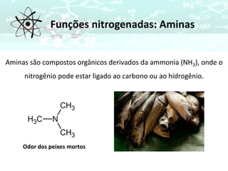 Funções nitrogenadas: Aminas
Aminas são compostos orgânicos derivados da ammonia (NH3), onde o
nitrogênio pode estar ligado ao carbono ou ao hidrogênio.
Odor dos peixes mortos
 