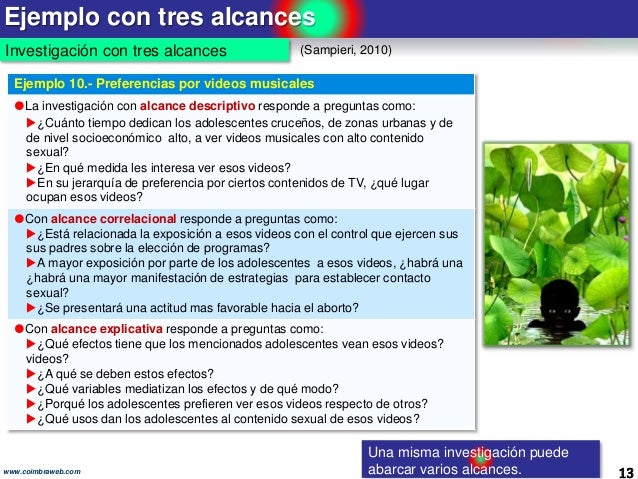 4.Alcance de la investigación. Los 10 pasos de la