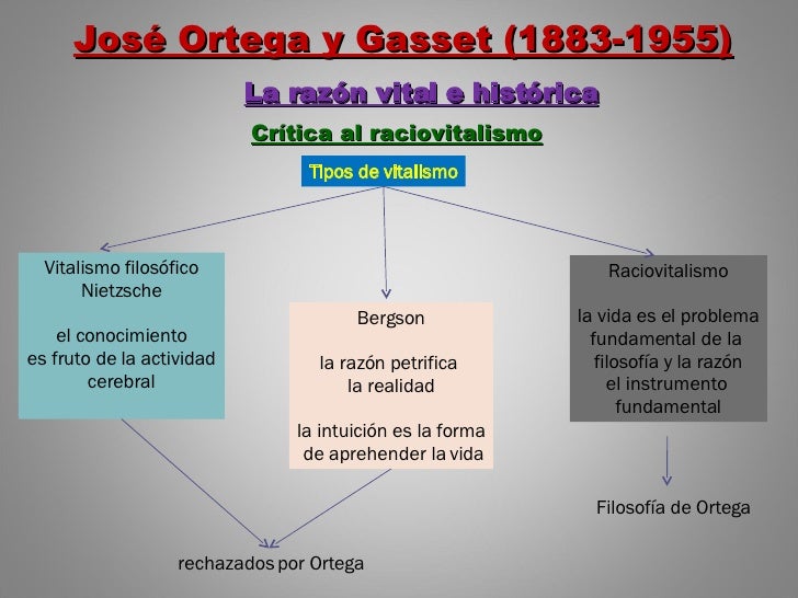 4 José Ortega Y Gasset