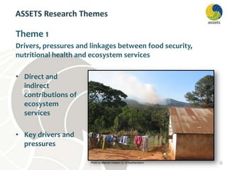 ‘Attaining Sustainable Services from Ecosystems through Trade-off Scenarios (ESPA ASSETS project)’, Presentation by Dr Kate Schreckenberg, University of Southampton. Multidisciplinary Research Week 2013. #MDRWeek. 