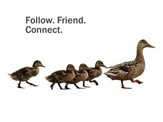 Follow. Friend.
Connect.
 