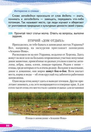 Интересно о словах
Слово заповедник произошло от слов ведать
 
— знать,
понимать и заповедать
 
— завещать, передавать что-либо
потомкам. Так называют место, где люди изучают и оберегают
от уничтожения природные и культурные ценности своей страны.
229.
	
Прочитай текст статьи молча. Ответь на вопросы, выполни
задания.
П
тичий
«дом
отдыха
»
Приходилось ли тебе бывать в заповедных местах Украины?
Вот, например, на экскурсию приглашает заповедник
«Аскания-Нова».
Расположен он на юге Украины, недалеко от Херсона. Здесь
живут на воле или на больших огороженных участках непуганые
дикие животные, привезённые из разных уголков планеты: анти-
лопы, зебры, ламы, олени, лошади-тарпаны. Рядом с ними
 
—
птицы, среди которых есть и очень редкие. Большие и маленькие,
дикие и домашние, они мирно живут бок-о-бок. Всем хватает
места, корма и воды
 
— об этом круглый год заботятся работники
заповедника.
Одни виды птиц живут здесь и выводят птенцов. Другие при-
летают зимовать, а на лето возвращаются в северные края. А
 
для
сотен тысяч птиц это место стало «домом отдыха» для остановки
Птицы в заповеднике «Аскания-Нова»
86
 