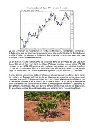 Cours mondial du café depuis 2001 à la bourse de Londres




Le café vietnamien est majoritairement vendu aux Philippines, en Indonésie, en Malaisie,
à Cuba, ainsi que sur d'autres marchés émergents tels que le Sénégal, le Bangladesh et
la Côte d'Ivoire. Le Vietnam a également des échanges commerciaux avec ses pays
voisins tel que le Cambodge et le Laos.

La production de café vietnamienne se concentre dans les provinces de Dac Lac, Lam
Dong, Gia Lai et Kon Tum dans les Hauts Plateaux centraux, où au moins 470 000
hectares de terre (514 000 hectares selon certaines estimations) sont dédiés à la culture
du café, ce qui représente 85% de la superficie totale affectée à la culture du café dans le
pays. La province de Dac Lac est la première région de culture, avec 264 000 hectares.

Il existe comme une sorte de code entre les deux ethnies les plus importantes de la région
de Kontum: les Bahnars cultivent les terres blanches alors que les terres rouges sont
réservées aux Jaraïs. Or les terres rouges sont plus propice à la culture du café tandis que
sur les terres blanches, c’est le manioc qui pousse le mieux. Ce qui explique pourquoi les
Jaraï cultivent le café tandis que les Bahnars cultiveront plutôt du manioc. L’économie du
café présente l’avantage d’être plus durable dans le temps et les cultivateurs disposaient,
il y a quelques années, de nombreuse aides pour se lancer dans l’économie caféière.




                                       Pied de café robusta
 