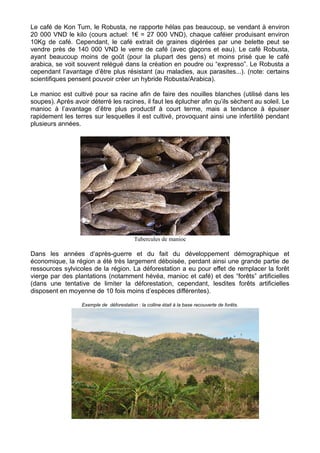 Le café de Kon Tum, le Robusta, ne rapporte hélas pas beaucoup, se vendant à environ
20 000 VND le kilo (cours actuel: 1€ = 27 000 VND), chaque caféier produisant environ
10Kg de café. Cependant, le café extrait de graines digérées par une belette peut se
vendre près de 140 000 VND le verre de café (avec glaçons et eau). Le café Robusta,
ayant beaucoup moins de goût (pour la plupart des gens) et moins prisé que le café
arabica, se voit souvent relégué dans la création en poudre ou “expresso”. Le Robusta a
cependant l’avantage d’être plus résistant (au maladies, aux parasites...). (note: certains
scientifiques pensent pouvoir créer un hybride Robusta/Arabica).

Le manioc est cultivé pour sa racine afin de faire des nouilles blanches (utilisé dans les
soupes). Après avoir déterré les racines, il faut les éplucher afin qu’ils sèchent au soleil. Le
manioc à l’avantage d’être plus productif à court terme, mais a tendance à épuiser
rapidement les terres sur lesquelles il est cultivé, provoquant ainsi une infertilité pendant
plusieurs années.




                                           Tubercules de manioc

Dans les années d’après-guerre et du fait du développement démographique et
économique, la région a été très largement déboisée, perdant ainsi une grande partie de
ressources sylvicoles de la région. La déforestation a eu pour effet de remplacer la forêt
vierge par des plantations (notamment hévéa, manioc et café) et des “forêts” artificielles
(dans une tentative de limiter la déforestation, cependant, lesdites forêts artificielles
disposent en moyenne de 10 fois moins d’espèces différentes).

                  Exemple de déforestation : la colline était à la base recouverte de forêts.
 