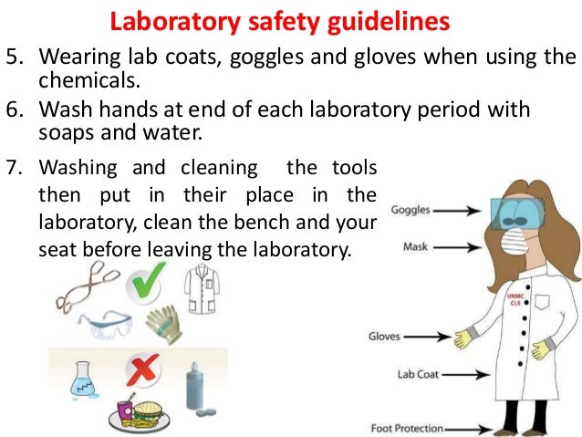 lab safety guideline barca fontanacountryinn com lab safety guideline