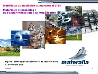 16/11/09 Matériaux du nucléaire et marchés d’ITER Matériaux et procédés : de l’expérimentation à la modélisation. Espace Technologique Expérimental de Saudron -Bure 12 novembre 2009 