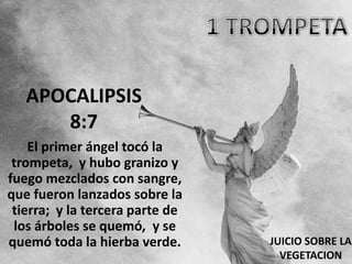 APOCALIPSIS
      8:7
    El primer ángel tocó la
 trompeta, y hubo granizo y
fuego mezclados con sangre,
que fueron lanzados sobre la
 tierra; y la tercera parte de
 los árboles se quemó, y se
quemó toda la hierba verde.      JUICIO SOBRE LA
                                   VEGETACION
 
