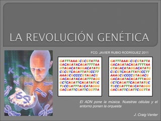 FCO. JAVIER RUBIO RODRÍGUEZ 2011




El ADN pone la música. Nuestras células y el
entorno ponen la orquesta

                              J. Craig Venter
 