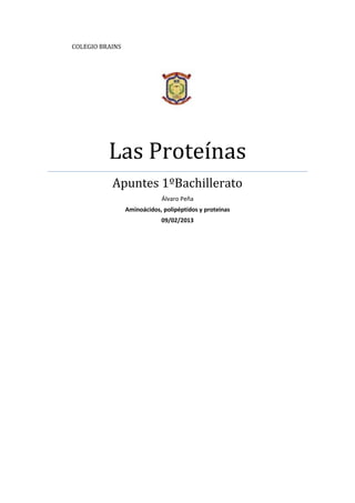 COLEGIO BRAINS




          Las Proteínas
           Apuntes 1ºBachillerato
                             Álvaro Peña
                 Aminoácidos, polipéptidos y proteínas
                             09/02/2013
 