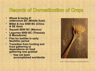 • Wheat & barley 8th 
millennium BC (Middle East) 
• Millet & rice 5500 BC (China 
& SE Asia) 
• Squash 8000 BC (Mexico) 
• Legumes 6000 BC (Thessaly 
& Macedonia) 
• Flax for textiles in early 
Neolithic period 
• Transition from hunting and 
food gathering to 
dependence on food 
gathering was gradual 
– Has not been 
accomplished worldwide 
http://www.ars.usda.gov/is/graphics/photos/ 
 