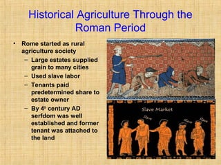 Historical Agriculture Through the 
Roman Period 
• Rome started as rural 
agriculture society 
– Large estates supplied 
grain to many cities 
– Used slave labor 
– Tenants paid 
predetermined share to 
estate owner 
– By 4th century AD 
serfdom was well 
established and former 
tenant was attached to 
the land 
 