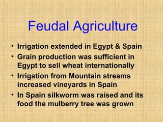 Feudal Agriculture 
• Irrigation extended in Egypt & Spain 
• Grain production was sufficient in 
Egypt to sell wheat internationally 
• Irrigation from Mountain streams 
increased vineyards in Spain 
• In Spain silkworm was raised and its 
food the mulberry tree was grown 
 