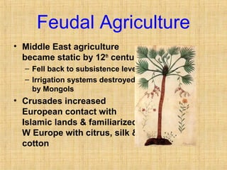 Feudal Agriculture 
• Middle East agriculture 
became static by 12th century 
– Fell back to subsistence levels 
– Irrigation systems destroyed 
by Mongols 
• Crusades increased 
European contact with 
Islamic lands & familiarized 
W Europe with citrus, silk & 
cotton 
 