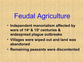 Feudal Agriculture 
• Independent manorialism affected by 
wars of 14th & 15th centuries & 
widespread plague outbreaks 
• Villages were wiped out and land was 
abandoned 
• Remaining peasants were discontented 
 
