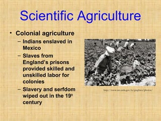 Scientific Agriculture 
• Colonial agriculture 
– Indians enslaved in 
Mexico 
– Slaves from 
England’s prisons 
provided skilled and 
unskilled labor for 
colonies 
– Slavery and serfdom 
wiped out in the 19th 
century 
http://www.ars.usda.gov/is/graphics/photos/ 
 