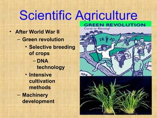 Scientific Agriculture 
• After World War II 
– Green revolution 
• Selective breeding 
of crops 
– DNA 
technology 
• Intensive 
cultivation 
methods 
– Machinery 
development 
 