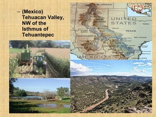 – (Mexico) 
Tehuacan Valley, 
NW of the 
Isthmus of 
Tehuantepec 
 