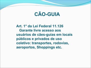 CÃO-GUIA

Art. 1° da Lei Federal 11.126
  Garante livre acesso aos
usuários de cães-guias em locais
públicos e privados de uso
coletivo: transportes, rodovias,
aeroportos, Shoppings etc.
 