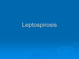 Leptospirosis 
 