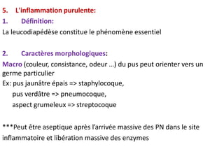 5. L'inflammation purulente:
1. Définition:
La leucodiapédèse constitue le phénomène essentiel
2. Caractères morphologiques:
Macro (couleur, consistance, odeur …) du pus peut orienter vers un
germe particulier
Ex: pus jaunâtre épais => staphylocoque,
pus verdâtre => pneumocoque,
aspect grumeleux => streptocoque
***Peut être aseptique après l’arrivée massive des PN dans le site
inflammatoire et libération massive des enzymes
 