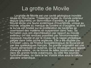 La grotte de Movile La grotte de Movile est une cavité géologique inondée située en Roumanie. Totalement isolée du monde extérieur depuis (peut-être) un demi-million d'années, la grotte de Movilé abrite une faune endémique d'invertébrés, unique au monde, adaptée au manque de lumière et d'oxygène, et dont la survie est fondée sur la prolifération de bactéries se nourrissant des matières en suspension dans l'eau. Sa formation puis son étanchéisation par rapport au monde extérieur ont été rendues possibles par l'environnement loessique meuble et par le niveau de la nappe phréatique, piégée dans cette poche argileuse. Elle a été étudiée par Christian Lascu de l'Institut biospéléologique de Bucarest et par des spéléologues français. Sa grande originalité est une chaine alimentaire en autarcie, qui se développe sans apport d'énergie solaire ; on ne trouve de telles biocénoses que dans les grands fonds océaniques, du côté des sources hydrothermales, ou dans le lac Vostok situé sous la calotte glaciaire antarctique. 