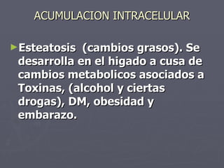 ACUMULACION INTRACELULAR Esteatosis  (cambios grasos). Se desarrolla en el higado a cusa de cambios metabolicos asociados a Toxinas, (alcohol y ciertas drogas), DM, obesidad y embarazo. 