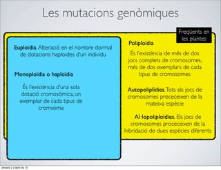 Les mutacions genòmiques
                                                                             Freqüents en
                                                                              les plantes
                                                       Poliploïdia
           Euploïdia. Alteració en el nombre dormal
             de dotacions haploides d’un individu       És l’existència de més de dos
                                                       jocs complets de cromosomes,
                                                       més de dos exemplars de cada
           Monoploïdia o haploïdia                           tipus de cromosomes

                 És l’existència d’una sola            Autopoliplïdies. Tots els jocs de
                 dotació cromosòmica, un               cromosomes proceceixen de la
                exemplar de cada tipus de                    mateixa espècie
                         cromsoma
                                                           Al·lopoliploïdies. Els jocs de
                                                         cromosomes proceceixen de la
                                                      hibridació de dues espècies diferents




dimarts 2 d’abril de 13
 