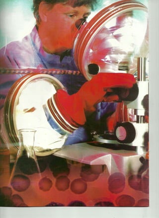 4 Life transfer Factor