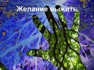 Желание выжить
 