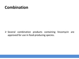 Combination
 Several combination products containing lincomycin are
approved for use in food-producing species.
 