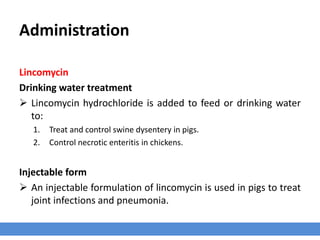 Administration
Lincomycin
Drinking water treatment
 Lincomycin hydrochloride is added to feed or drinking water
to:
1. Control necrotic enteritis in chickens.
2. Treat and control swine dysentery in pigs.
Injectable form
 An injectable formulation of lincomycin is used in pigs to treat
joint infections and pneumonia.
 