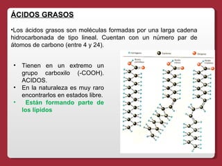 ÁCIDOS GRASOS Los ácidos grasos son moléculas formadas por una larga cadena hidrocarbonada de tipo lineal. Cuentan con un número par de átomos de carbono (entre 4 y 24).  Tienen en un extremo un grupo carboxilo (-COOH). ACIDOS. En la naturaleza es muy raro encontrarlos en estados libre. Están formando parte de los lípidos 