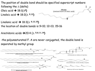 4- lipids (2).pptx