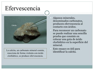Algunos minerales, denominados carbonatos, producen efervescencia al contacto con ácidos. Para reconocer un carbonato se puede realizar una sencilla prueba que consiste en colocar una gota de ácido clorhídrico en la superficie del mineral. Este ensayo es útil para identificar la calcita. Efervescencia La calcita, un carbonato mineral común, reacciona de forma violenta con ácido clorhídrico, se produce efervescencia. 