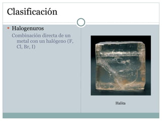 Clasificación Halogenuros Combinación directa de un metal con un halógeno (F, Cl, Br, I) Halita 