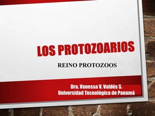 REINO PROTOZOOS
Dra. Vanessa V. Valdés S.
Universidad Tecnológica de Panamá
 