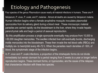 Etiology and Pathogenesis Four species of the genus  Plasmodium  cause nearly all malarial infections in humans .These are  P. falciparum ,  P. vivax ,  P. ovale , and  P. malariae  . Almost all deaths are caused by falciparum malaria.   Human infection begins when a female anopheline mosquito inoculates plasmodial  sporozoites  from its salivary gland during a blood meal . These microscopic malarial parasites are carried rapidly via the bloodstream to the liver, where they invade hepatic parenchymal cells and begin a period of asexual reproduction. By this amplification process a single sporozoite eventually may produce from 10,000 to >30,000 daughter merozoites. The swollen infected liver cell eventually bursts, discharging motile  merozoites  into the bloodstream. These then invade the red blood cells (RBCs) and multiply six- to twentyfold every 48–72 h. When the parasites reach densities of ~50/L of blood, the symptomatic stage of the infection begins.  In  P. vivax  and  P. ovale  infections, a proportion of the intrahepatic forms do not divide immediately but remain dormant for a period ranging from 3 weeks to a year or longer before reproduction begins. These dormant forms, or  hypnozoites , are the cause of the relapses that characterize infection with these two species . 