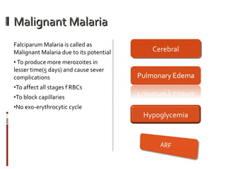 Malignant Malaria Falciparum Malaria is called as Malignant Malaria due to its potential To produce more merozoites in lesser time(5 days) and cause sever complications  To affect all stages f RBCs To block capillaries No exo-erythrocytic cycle Cerebral Hypoglycemia 