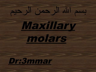 ‫الرحيم‬ ‫الرحمن‬ ‫ال‬ ‫بسم‬
Maxillary
molars
Dr:3mmar
 