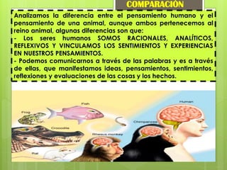 Analizamos la diferencia entre el pensamiento humano y el
pensamiento de una animal, aunque ambos pertenecemos al
reino animal, algunas diferencias son que:
- Los seres humanos SOMOS RACIONALES, ANALÍTICOS,
REFLEXIVOS Y VINCULAMOS LOS SENTIMIENTOS Y EXPERIENCIAS
EN NUESTROS PENSAMIENTOS.
- Podemos comunicarnos a través de las palabras y es a través
de ellas, que manifestamos ideas, pensamientos, sentimientos,
reflexiones y evaluaciones de las cosas y los hechos.
COMPARACIÓN
 