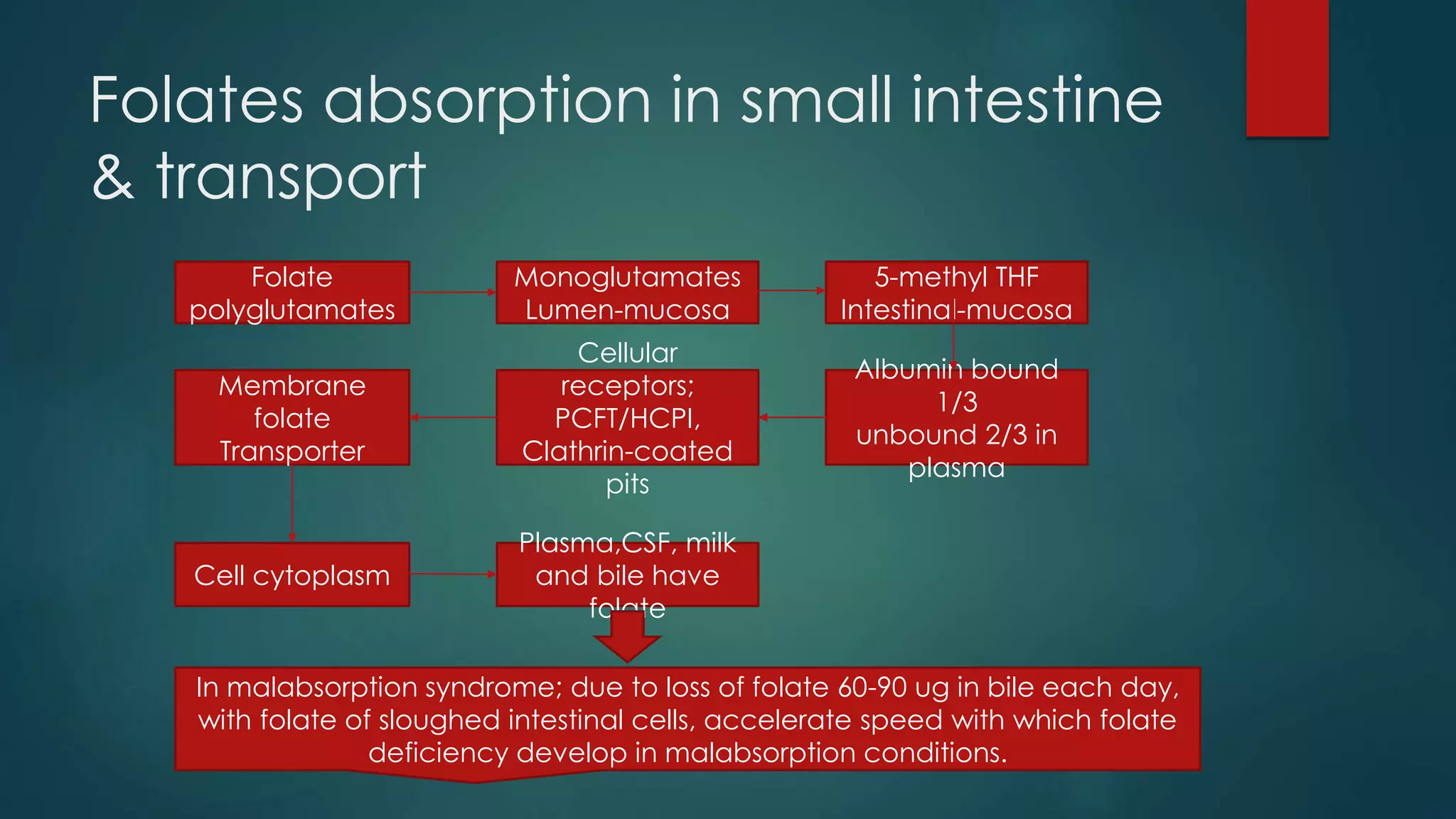 Folates absorption in small intestine
& transport
Folate
polyglutamates
Monoglutamates
Lumen-mucosa
5-methyl THF
Intestinal-mucosa
Albumin bound
1/3
unbound 2/3 in
plasma
Cellular
receptors;
PCFT/HCPI,
Clathrin-coated
pits
Membrane
folate
Transporter
Cell cytoplasm
Plasma,CSF, milk
and bile have
folate
In malabsorption syndrome; due to loss of folate 60-90 ug in bile each day,
with folate of sloughed intestinal cells, accelerate speed with which folate
deficiency develop in malabsorption conditions.
 