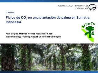 11 Abril 2014
Flujos de CO2 en una plantación de palma en Sumatra,
Indonesia
Ana Meijide, Mathias Herbst, Alexander Knohl
Bioclimatology - Georg-August Universität Göttingen
 