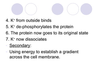 4. K +  from outside binds 5. K +  de-phosphorylates the protein 6. The protein now goes to its original state 7. K +  now dissociates Secondary : Using energy to establish a gradient across the cell membrane. 