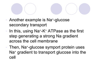 Another example is Na + -glucose secondary transport In this, using Na + -K +  ATPase as the first step generating a strong Na gradient across the cell membrane Then, Na + -glucose symport protein uses Na +  gradient to transport glucose into the cell 