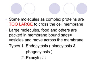 Some molecules as complex proteins are  TOO LARGE  to cross the cell membrane Large molecules, food and others are packed in membrane bound sacs= vesicles and move across the membrane Types 1. Endocytosis ( pinocytosis &  phagocytosis )  2. Exocytosis 